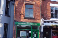 Amorous Cat Gallery