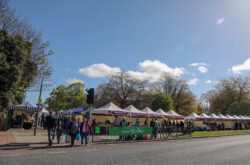 Farmer's Market